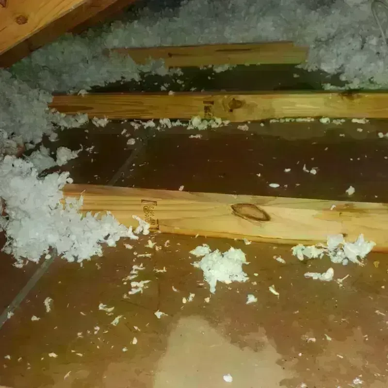 Attic Water Damage in Bethel Acres, OK