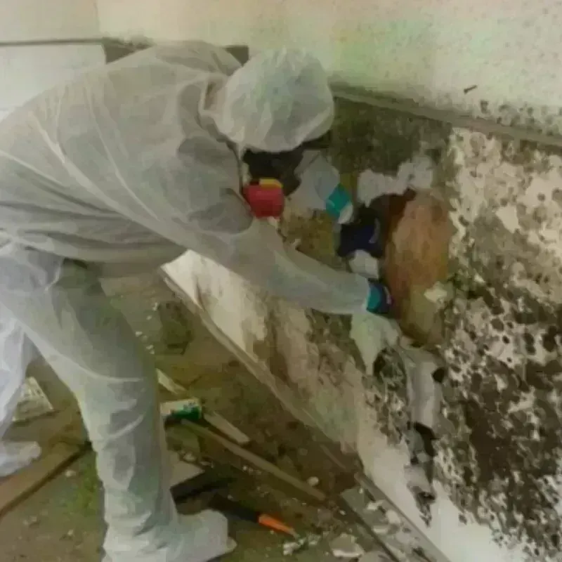 Mold Remediation and Removal in Bethel Acres, OK